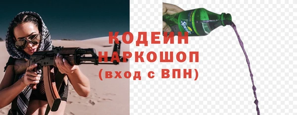 дурь Пестово