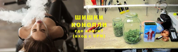 дурь Пестово