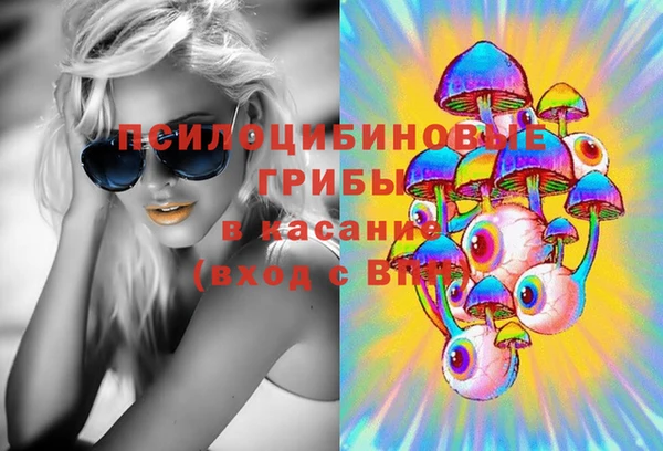 дурь Пестово