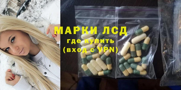 спиды Гвардейск