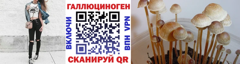 Галлюциногенные грибы Psilocybe  Иркутск 