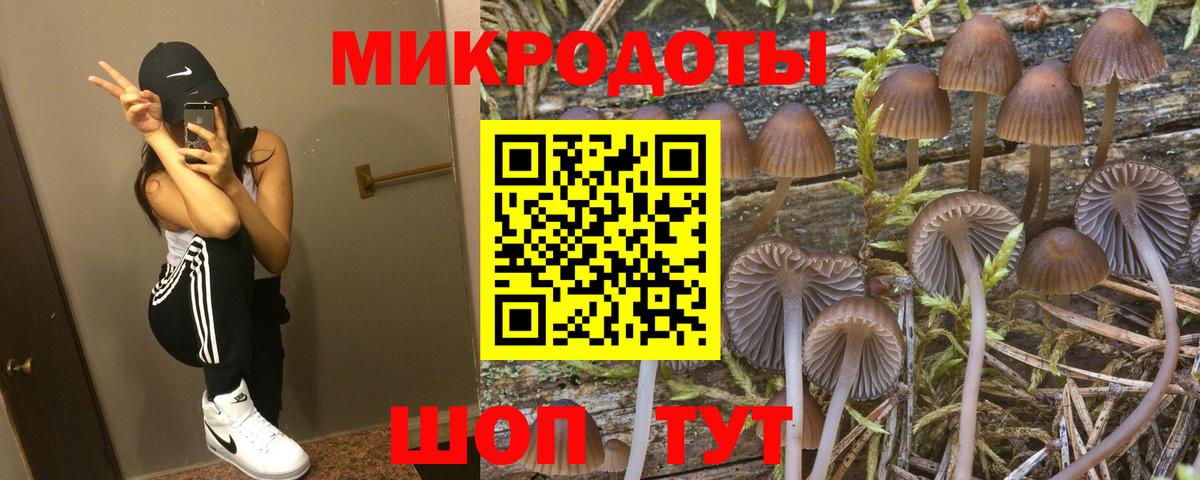 Псилоцибиновые грибы MAGIC MUSHROOMS  продажа наркотиков  Иркутск  Вход с VPN 